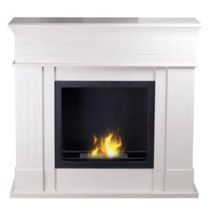 Fuel Fireplace