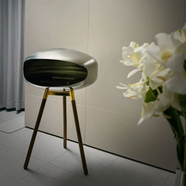 Stainless Steel Oval Sphere Shape Biofuel Fireplace - Image 3